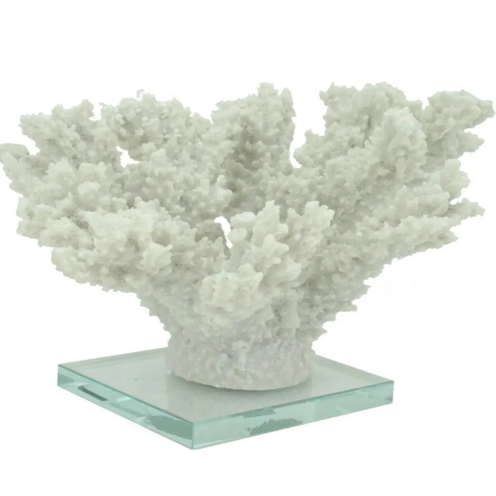 White Tort Coral on Glass Base
