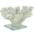 White Tort Coral on Glass Base