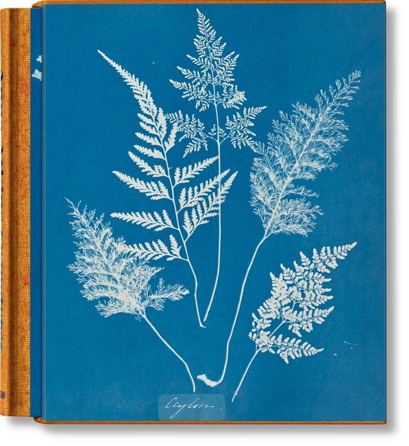 Front cover of the book titled Cyanotypes in cyan and white coral.