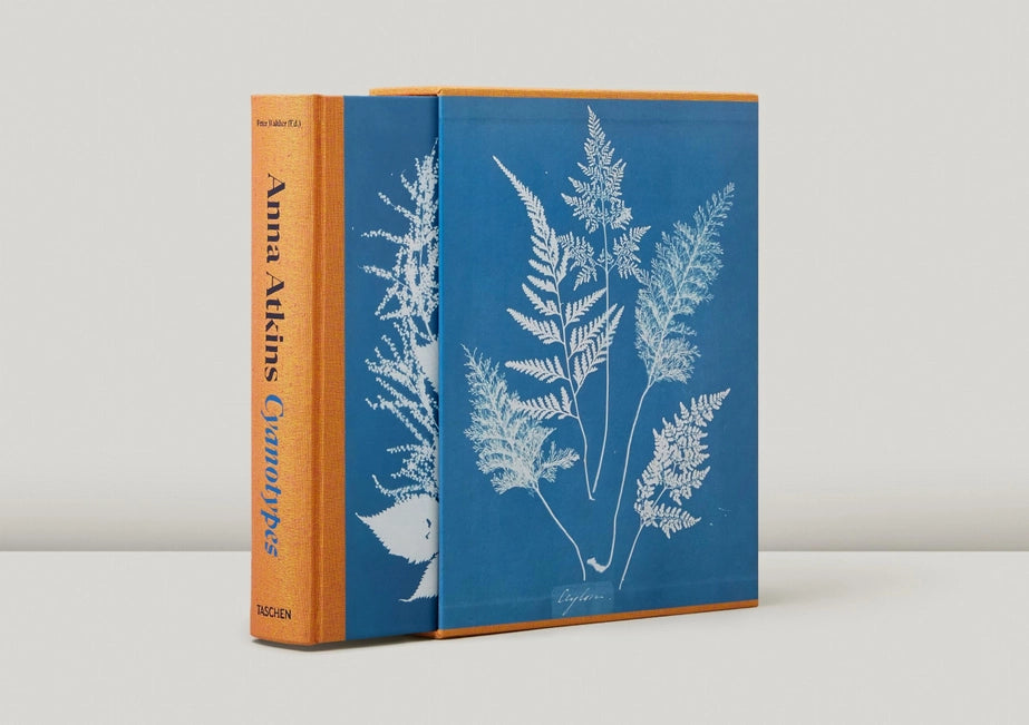 A book in a book sleeve.