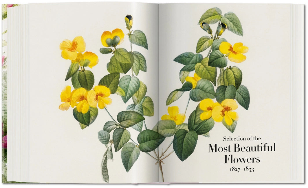 Open book with illustrations of yellow flowers and green leaves