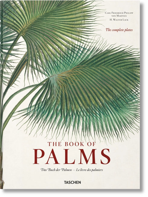 Martius' Book of Palms – Rare Botanical Art & Palm Science Legacy