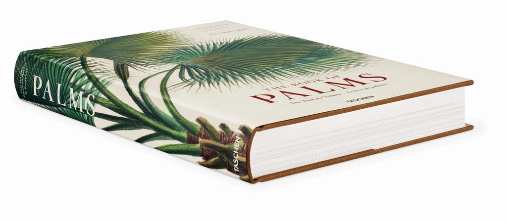 Martius' Book of Palms – Rare Botanical Art & Palm Science Legacy