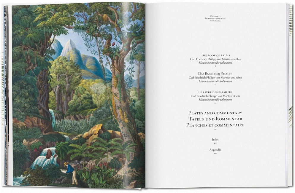 Martius' Book of Palms – Rare Botanical Art & Palm Science Legacy