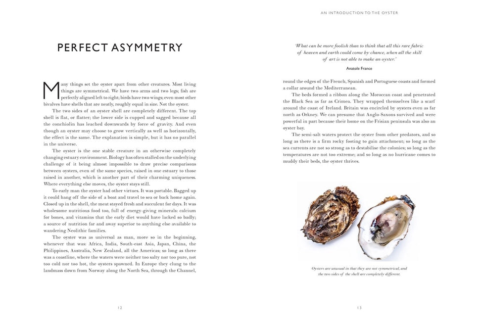 Oyster: Culinary History & Recipes | Drew Smith Seafood Cookbook