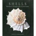 Shells: Ocean Beauty & Art Photography by Joyce Tenneson