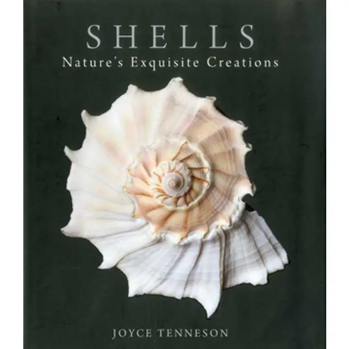 Shells: Ocean Beauty & Art Photography by Joyce Tenneson
