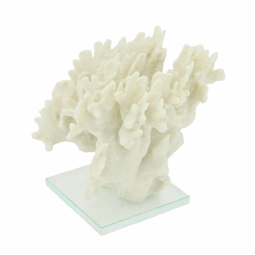 Large Ridge Coral
