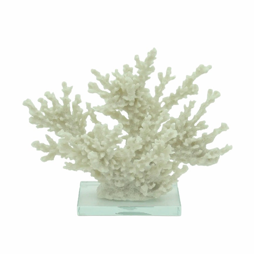 Ivory Tort Coral with Glass Base