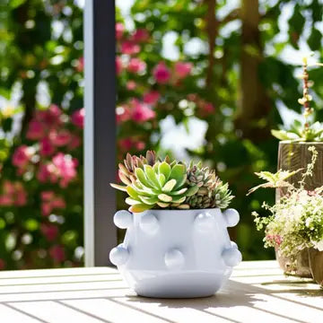 White textured planter with succulents on a wooden surface with blurred floral background