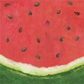 Watermelon Paper Cocktail Napkins (20ct)