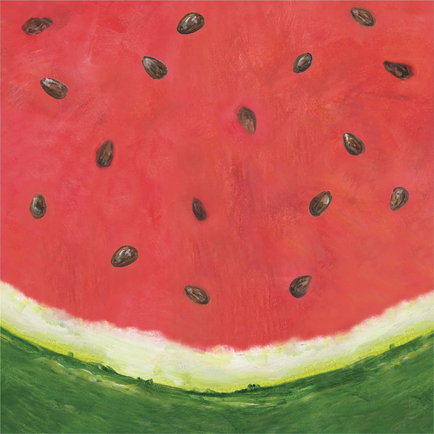 Watermelon Paper Cocktail Napkins (20ct)
